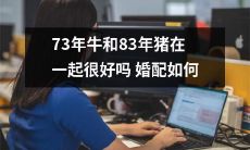 探讨73年出生的牛与83年出生的猪的婚配度：两个生肖是否适合相互配对？