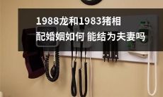 如何使1988年出生的龙和1983年出生的猪之间的婚姻实现成为成功的夫妻关系?