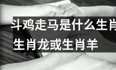到底斗鸡走马生肖为何？是属于中国传统的生肖龙还是温和优雅的生肖羊？