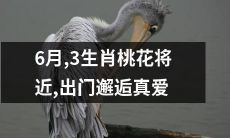 六月将至，三种生肖桃花势盈盈，准备出门邂逅真爱吗？