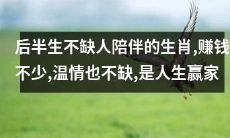 经历后半生仍不乏陪伴的生肖，事业成功和人情温暖并存，成为人生最大赢家