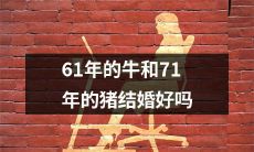 这样显然是一个不恰当、甚至有些荒谬的标题，因此需要重新表述。下面是一个可以考虑的改写版本：