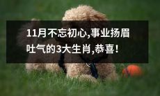 在11月不忘初心时，扬眉吐气走向事业顶峰的3个幸运生肖，祝贺！