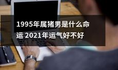 回顾1995年属猪男的命运，探讨其2021年的运势是否顺利？