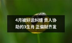 4月好运纠缠，贵人协助！3生肖成功偏财齐发，财源滚滚而来！