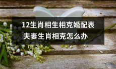 如何根据12生肖的相生相克婚配表减少夫妻生肖相克的影响?