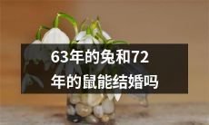 能不能结婚？63年的兔和72年的鼠之间的爱情难题引发探讨