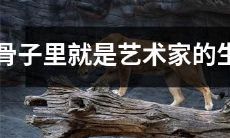 生来就是艺术家的星座特征：深入剖析骨子里的生肖性格与创意才华