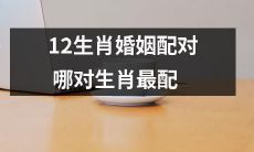 哪些生肖最适合婚姻配对？一探12生肖之间的默契度及性格差异对婚姻生活的影响