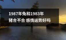 1987年出生的兔和1983年出生的猪，情感运势是否良好？