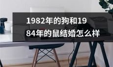 如何能让1982年的狗和1984年的鼠走向幸福，挑战十二生肖不和谐之局？
