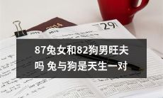 87年生的女兔和82年生的男狗：他们能否成为旺夫旺妻？揭开兔和狗天生匹配的神秘面纱！