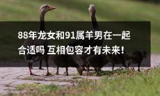 龙女与属羊男的配对：透过包容相互迎合，共筑美好未来！