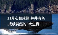 三大心智成熟、井井有条、成绩斐然的生肖在11月份得到了充分体现！