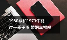 能够维持一辈子的幸福婚姻吗?探讨1980年出生的猴和1973年出生的牛之间的婚姻关系