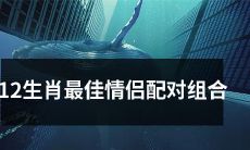 探讨12生肖中最合适的情侣搭配，寻找最佳情侣配对组合
