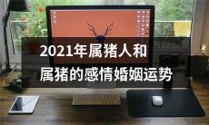 2021年属猪人和同属猪的伴侣感情婚姻运势分析：星象揭示的财运、健康和家庭关系的种种可能性