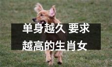 随着单身时间的延长，生肖女对伴侣的要求越来越高：从性格到经济能力，她们需要一个完美的伴侣来满足心中的期望