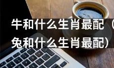 哪些生肖与牛最配？哪些生肖与兔最配？