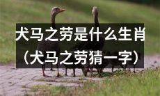用狗马力气劳动的生肖是哪一个？猜猜这个字是什么!