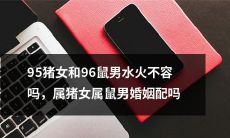 属猪女和属鼠男之间的婚姻配对：是否会因年份之间的水火不容而受到影响，探讨95猪女和96鼠男是否能够成为一对良缘？