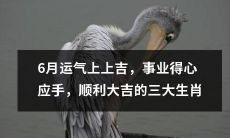六月好运接二连三！事业顺心如意，一切顺利大吉大利，狮子、天秤、双鱼三大生肖幸运星闪耀！