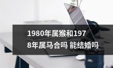 是否可以结婚？1980年的属猴是否与1978年的属马之间存在和谐的星座互配关系？