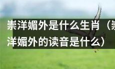 哪个生肖容易崇洋媚外？“崇洋媚外”的读音是什么？