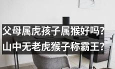 父母是虎座，孩子是猴座，这样的组合是否适宜？猴子在山中无虎的情况下是否真的能成为霸主？