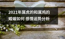 2021年属虎和属鸡的婚姻：情感运势分析及预测