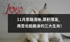 三大生肖：11月头脑清晰、厚积薄发，即便遭遇困境也能轻松翻身！