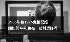 探究1985年出生的牛与1975年出生的兔相配婚姻的运势以及他们在一起会不会有好的财运？