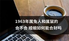 属兔和属鼠的1963年出生的人，如何在婚姻中实现财务合作？