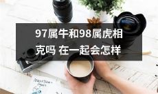 如果97属牛和98属虎在一起,它们是否会相克?这样的组合会导致哪些影响和后果?