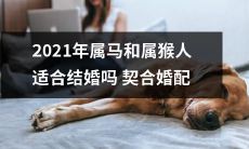 2021年属马和属猴的人是否具备理想的婚姻契合度以便成婚？