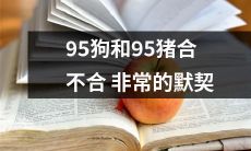 95狗和95猪的默契程度究竟有多高?它们合不合非常?