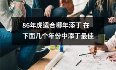 86年出生的人在哪些年份添丁最佳？在下面的年份中哪一年适合为虎父母添丁呢？