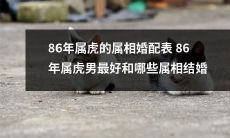 86年属虎男的属相婚配推荐:建议与哪些属相最佳匹配呢?