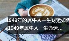 1949年出生的属牛人，他们的财富命运是如何的？