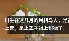 在哪几个月出生的属马人最幸运,是否是祖先积德的结果?