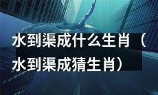 你猜水到渠成用来猜什么生肖呢?(What Zodiac Animal is "Water Reaches the Farthest Point" Used to Guess?)