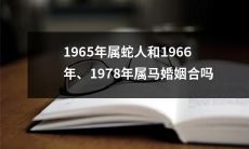 在中国传统婚姻观中，1965年生肖属蛇人与1966年、1978年生肖属马人是否适合结婚？