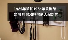 同属鼠的1984年鼠是否适合结婚？优缺点分析