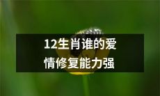 哪个生肖的爱情修复能力最强,在12个生肖中是谁?