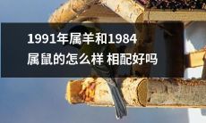 1991年出生的属羊与1984年出生的属鼠的八字相合度如何？适合在感情关系中搭配吗？