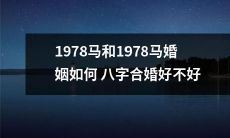 关于1978年出生的马和1978年出生的马是否适合八字合婚以及如何进行合婚的探讨