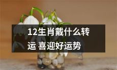 探讨十二生肖在转运方面的吉祥配饰，为喜迎好运势带来更多可能性