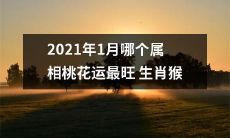 在2021年1月中,哪个生肖属猴的桃花运最为旺盛呢?