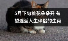 5月下旬：桃花朵朵开，可能邂逅人生伴侣的幸运生肖