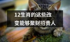 让财富滚滚而来！掌握12生肖中这些改变方法，稳招财神贵人！